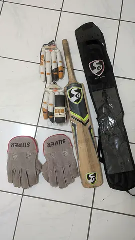 SG Cricket bat and BDM gloves