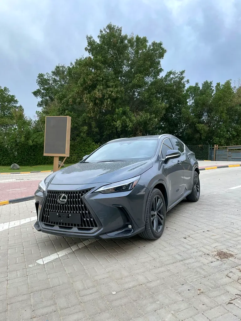 Lexus NX-Series 2024 — photo 1 of 18