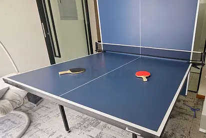 Table Tennis Table for sale