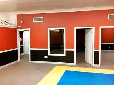 Professional home painting services