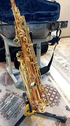 Selmer La Voix II Alto Saxophone