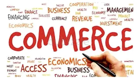 Grade 11th  12th Tutor (Commerce Stream)