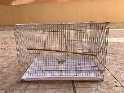 Medium Bird Cage – Affordable Price – AED 50