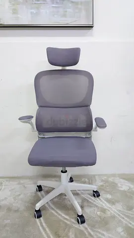 Office Chair with Lumbar Support