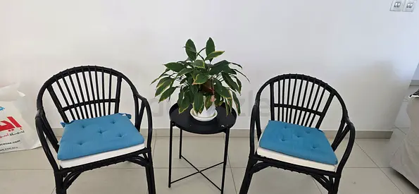 Set of Bamboo Chairs