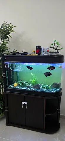 100cm Stylish Fish Aquarium with Cabinet for sale