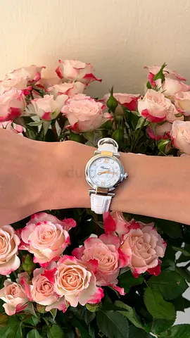 Chopard Imperiale Steel/Gold/Diamomds 29MM