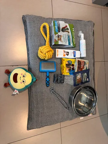 Dog starter kit — bed, bowls, toys, grooming and treats