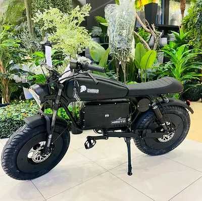 Electric Fat Tire Bike 1000W