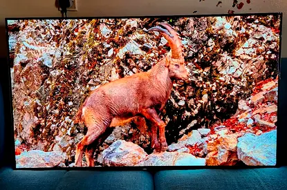 Sony Bravia OLED 55 inch Android Smart TV with Box and complete accessories