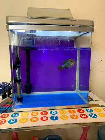 Small aquarium full set for sale