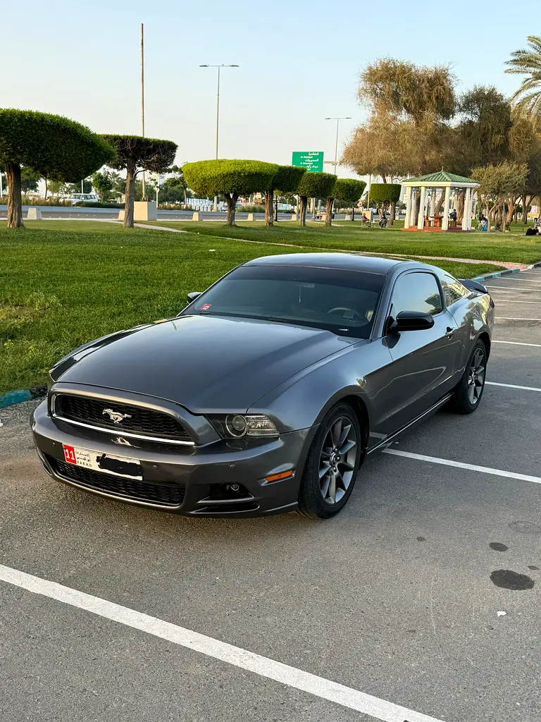 Ford Mustang 2014 — photo 1 of 9
