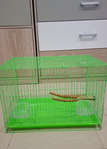 Green Small Bird/Cage with Perch and Feeders