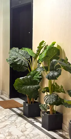 Pair of Large Artificial Tropical Plants in Black Planters