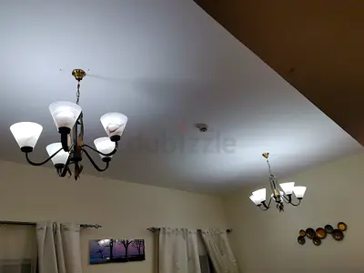 5-Arm Ceiling Chandelier with Frosted Glass Shades - Used