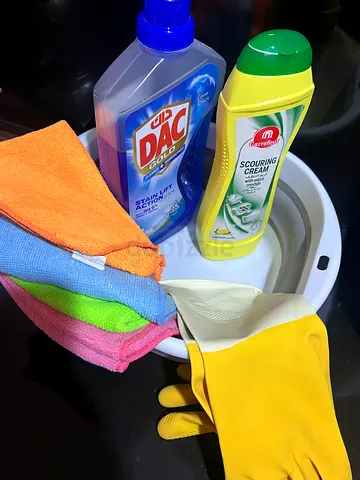 Household Cleaning Kit — Gloves, Cloths, Cleaners (Used)
