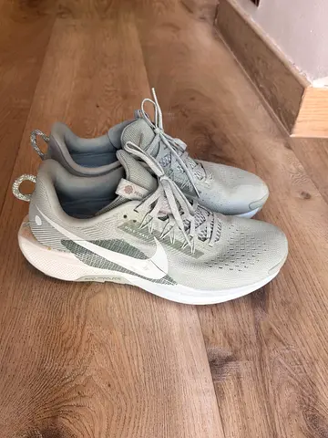 Nike Pegasus Trail Sneakers, size US 9.5 (men)