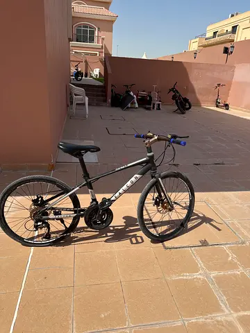 Falcon Custom Off-road Bicycle