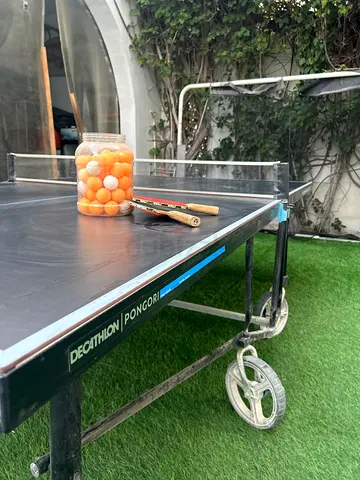 Ping pong table