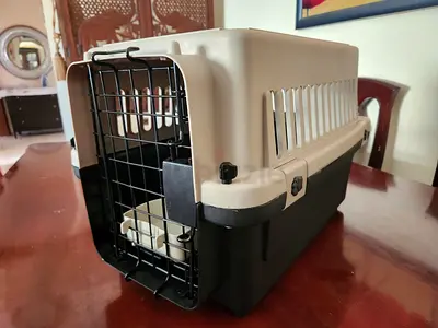 Cats and dogs carriers for air travel