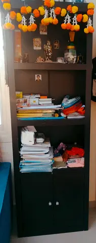 Storage Cabinet / Bookcase / Cupboard - URGENT SALE