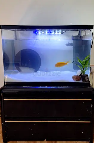 Used 60/36 cm Fish Aquarium with Stand, LED Light and Filter