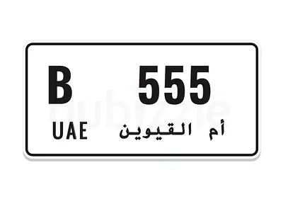 B 555 UAQ