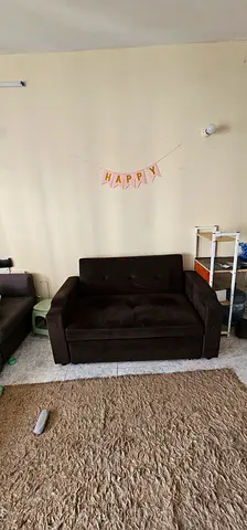 Compact 2-seater brown loveseat sofa cum bed in good condition for sale