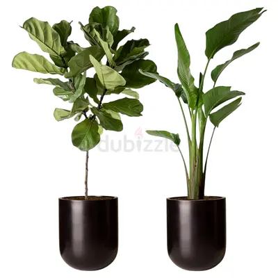 E commererce business for sale