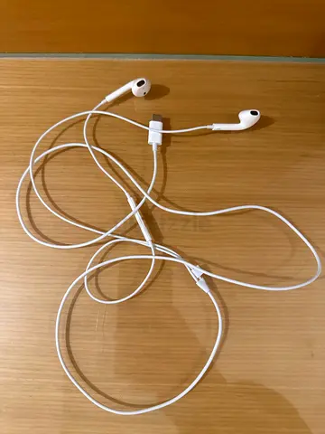 Apple Headphones Type C