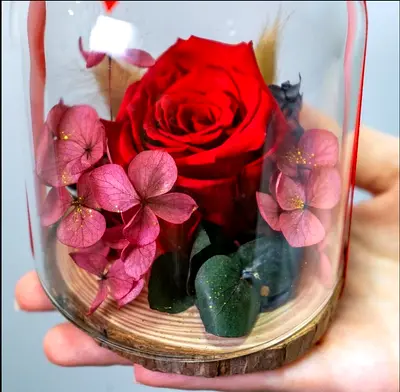 Preserved red rose in glass dome (decorative keepsake)