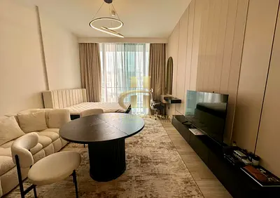 Luxurious Fully Furnished Studio - Ready