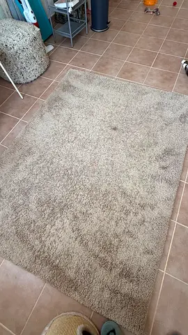 Carpet