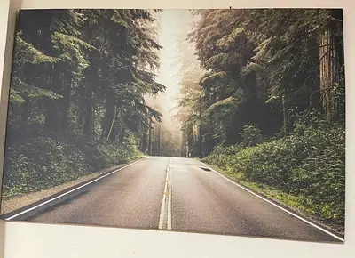 Large Canvas Wall Art - Forest Road Landscape