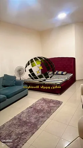 Studio | Full Open View | Freehold | Large Area