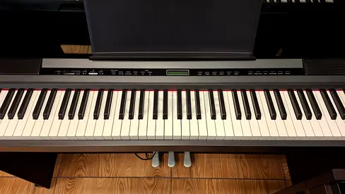 Steiner dp-1300 digital piano