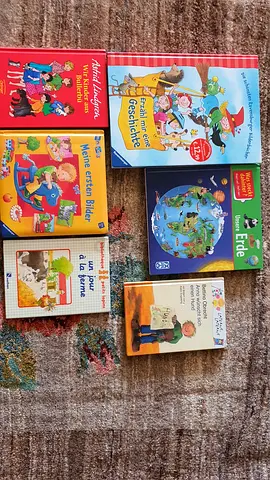 French, German Chinese hsk books