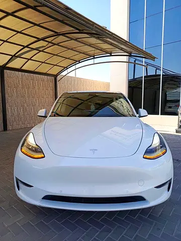 2024 Tesla MODEL Y — фото 3
