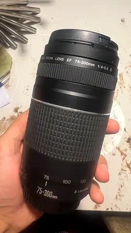 Canon EOS 2000D + EF 75-300mm f/4-5.6 Telephoto Zoom Lens (Used - SD card not included)