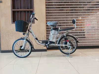 Alloy ebike  with removable battery 48 v