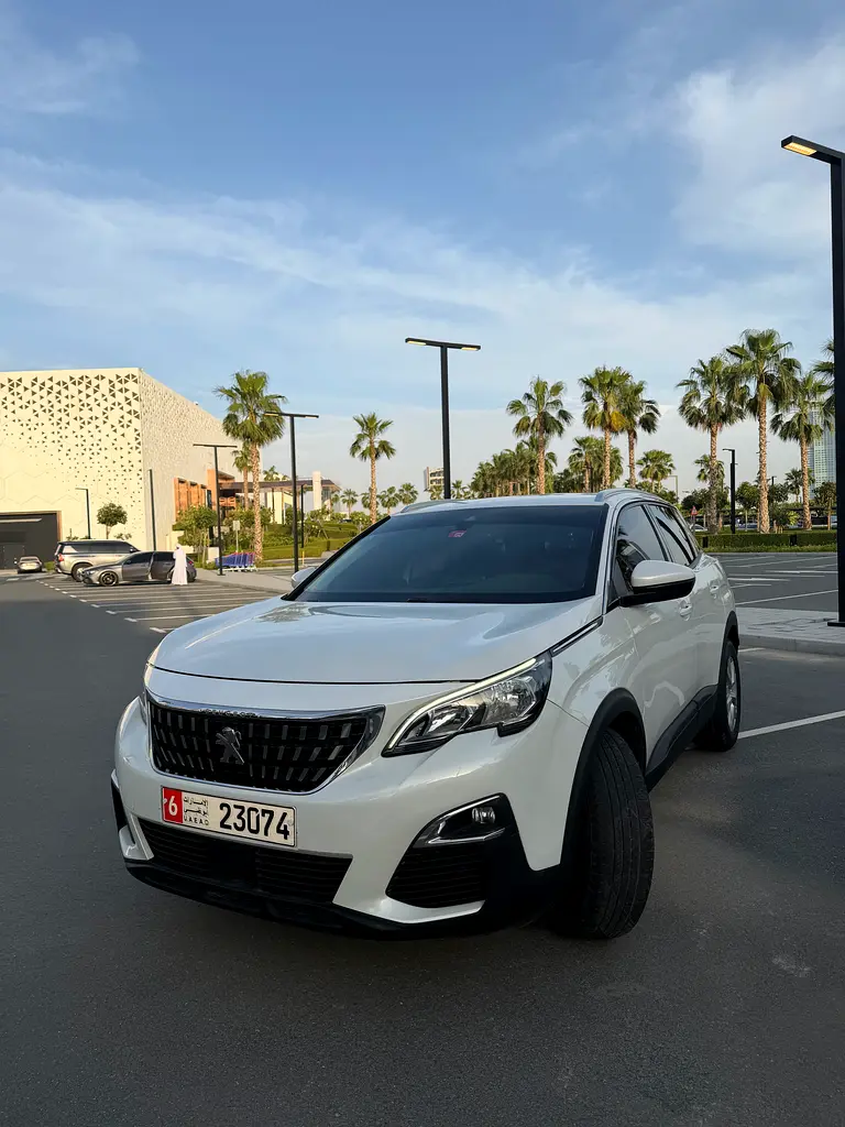 Peugeot 3008 2018 — photo 1 of 17