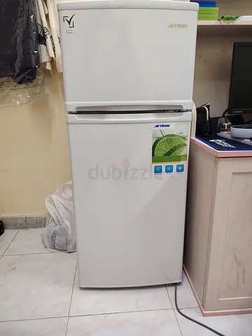 Small Fridge (Great working condition)