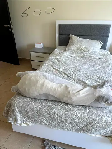 single bed for sale!!!