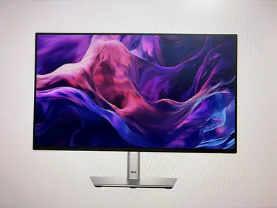 Dell 24-inch Monitor (Sealed Box) - Model P2425E