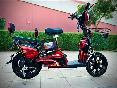 Electric Bike 35 speed 48V-48AH BATTERY 48V-12AH CHARGE (RED)