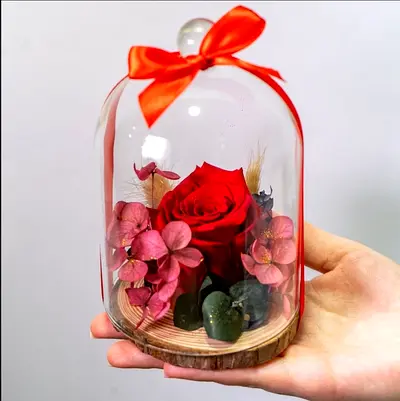 Preserved Red Rose in Glass Dome Decor