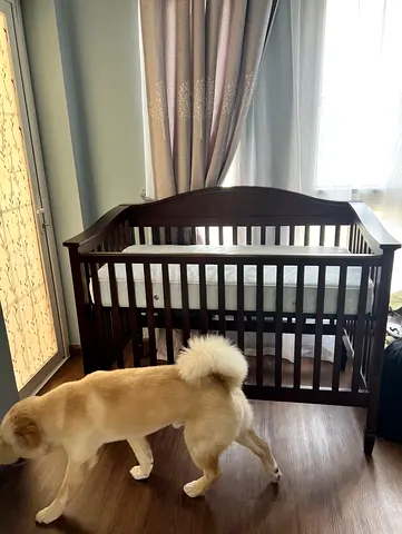 Baby Crib Pottery Barn