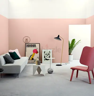 Interior/exterior Painting all types call now