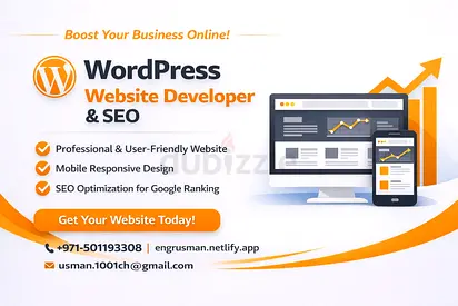 Professional Wordpress Developer  SEO Expert