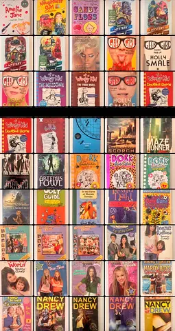 Kids  Young Adult Book Bundle — Nancy Drew, Dork Diaries, The Maze Runner  More (40+ books)